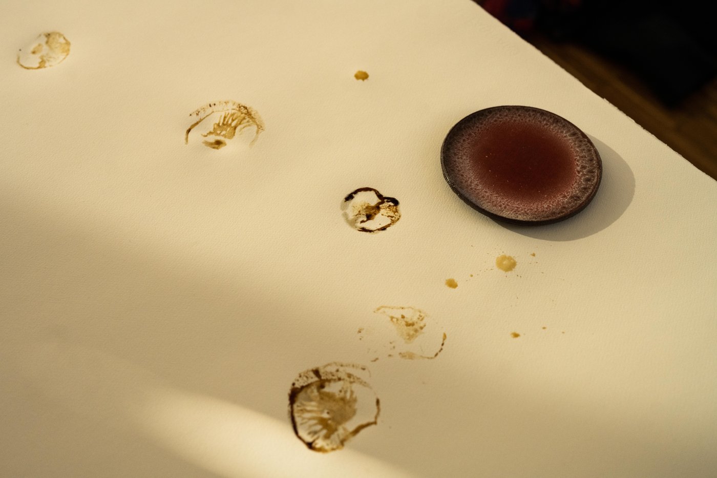 0222_Mycelial Work Group - Maerzmusik 2022 - 20 March 2022 - silent green © Camille Blake - Berliner Festspiele-22.jpg